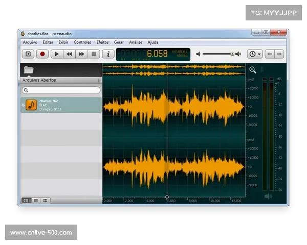 图像处理与音频分析技术结合,增强自动剪辑视频质量